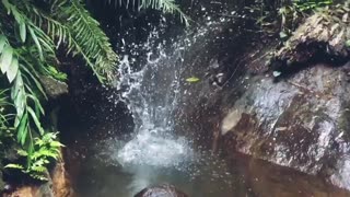 Beautiful waterfall in sri lanka