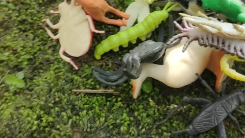 Found Animal kids toys Frogs, Scorpions,Centipedes,Turkeys, Ducks,Crickets,Beetles,Cockroaches,Deer