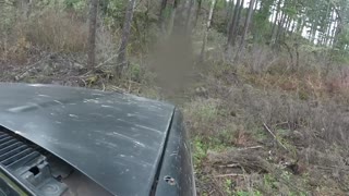 stock chevy on logging road