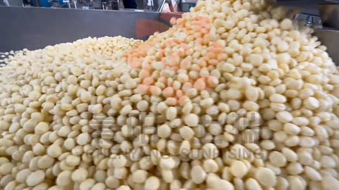 Puffed nutritional powder machine testing before shipping - Jinan Sunrising Machinery