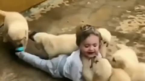 Little kid playing with cute puppies