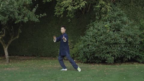Chen Tai Chi for Beginners