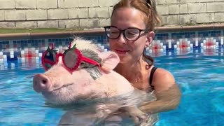 Roxy And Mom Cool Off In The Pool