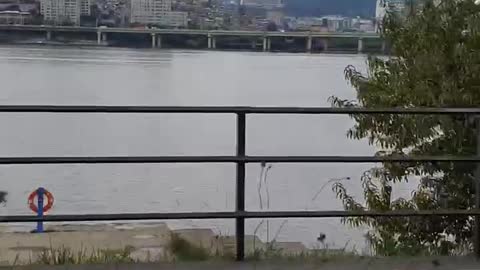 Han River in Seoul. Riding a bicycle at Han River.