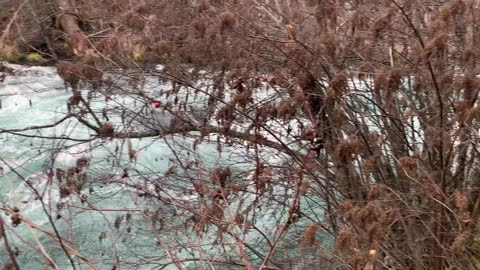 Turquoise White Water Rapids – Metolius River – Central Oregon