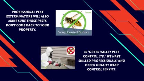 Need Wasp Control Treatment? Choose Our Professional Exterminators!