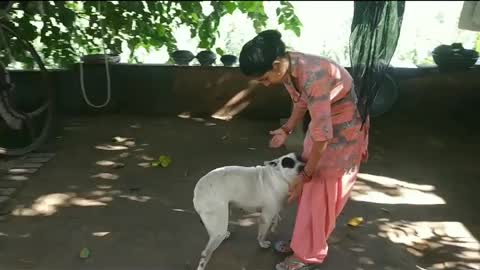 Funny Dog Video With indian cute Girl playing