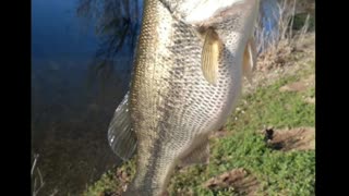 New PB Largemouth Bass!! Spring time Bass Fishin