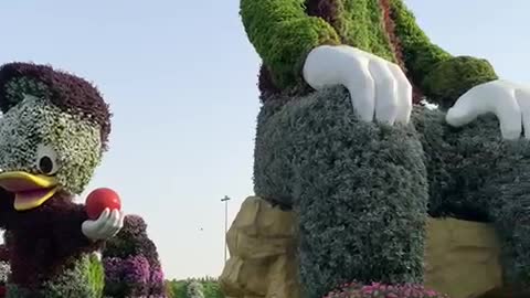 Dubai Miracle Garden