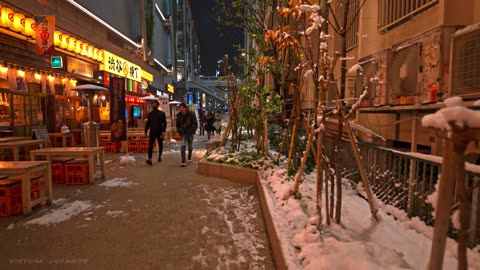 Snowy Tokyo Nights: A Tranquil Shibuya to Shinjuku Walk in Winter's Embrace