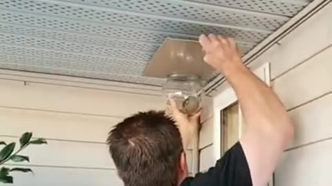 Hornet nest removal