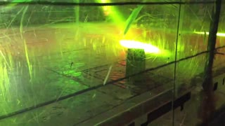 Robot Wars Gloucester 2016: Microwave Test