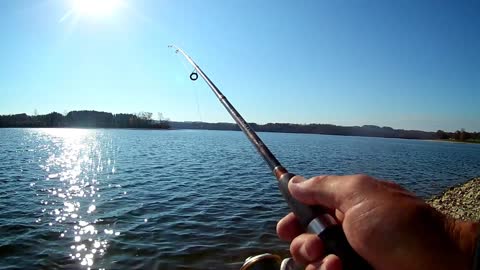 BLUE MARSH LAKE MID NOVEMBER