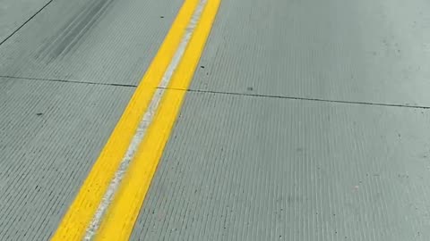 Squirrel Stowaway On Truck Bumper