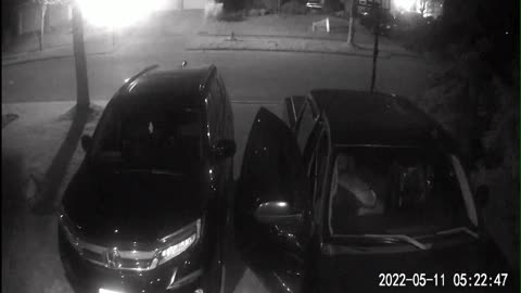 Sunnyside Crescent Car Thief