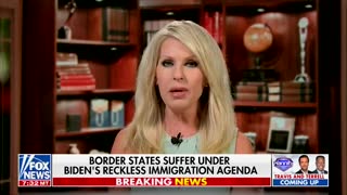 'This Is Their Rules': Fox News Guest Suggests Giving Illegal Aliens Pelosi's Address