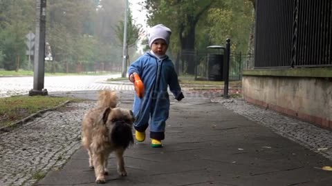 Baby boy is walking with dog, slow motion