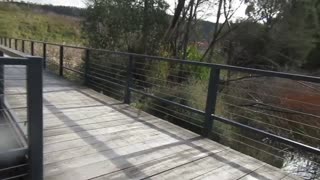 Walking around wetlands in winter