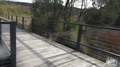 Walking around wetlands in winter