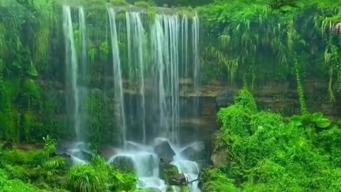 Beautiful Nature Relaxing Video