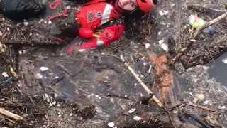 Emotional Rescue of Small Dog from Icy River