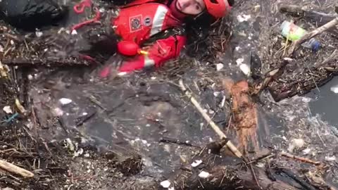 Emotional Rescue of Small Dog from Icy River