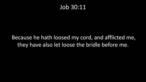 KJV Bible Job Chapter 30