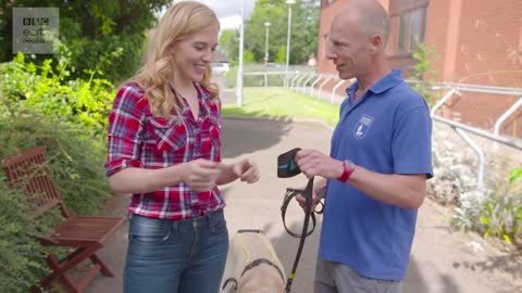 CUTE! Puppy Guide Dog Training.