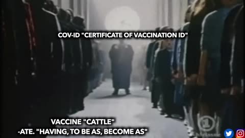 Coivd vax disimformation