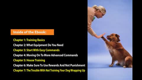 Dog training