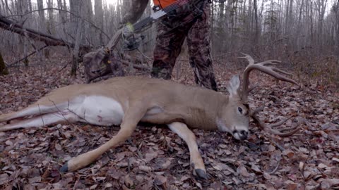 Pat's Monster Whitetail