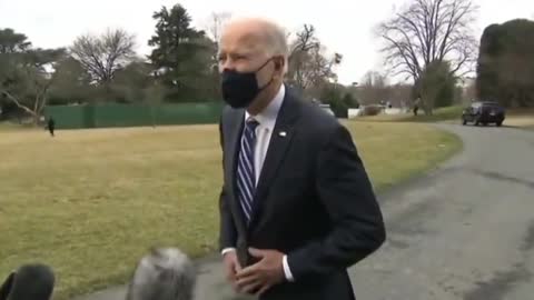 Joe Biden South Lawn Greenscreen?