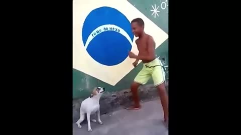 Perrito bailando feliz
