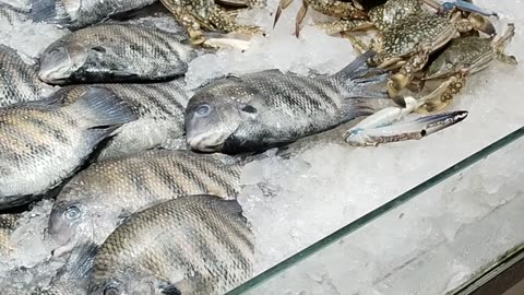 Kerala fish market