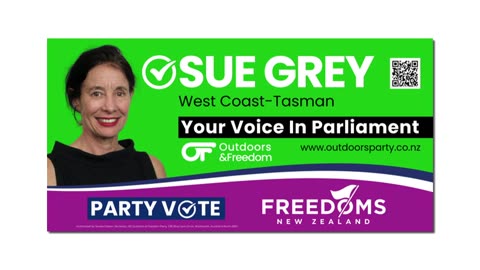 Sue Grey on the campaign trail