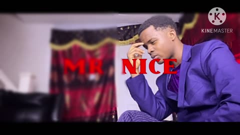 Mr Nice