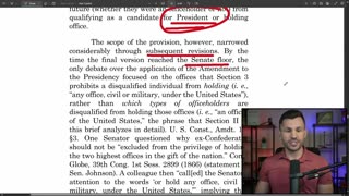 Robert Gouveia Esq. - Vivek Submits AMICUS in SUPPORT of TRUMP Staying on 2024 Ballots