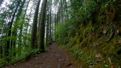A Benevolent Hike To Mount Si