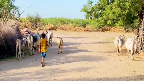 Sleeping in village