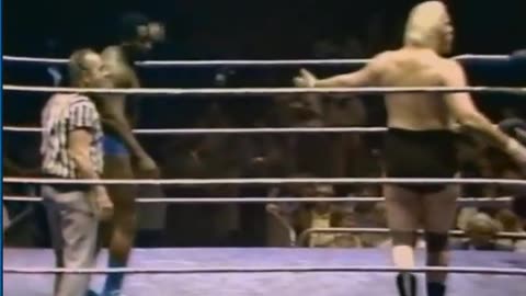 WWF MSG Jun 08 1981 **NOT ON PEACOCK**