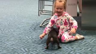 Puppy entertains little girl at airport