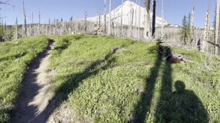 The First Straight on Views of Mount Hood on Tilly Jane Trail – Oregon – 4K