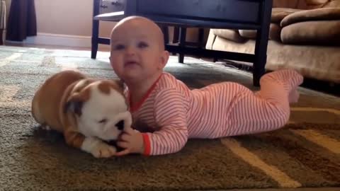 dog licking baby NEW