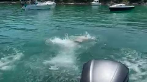 Boat jump