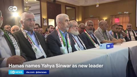 Militant group Hamas names military commander Yahya Sinwar as new political leader | DW News