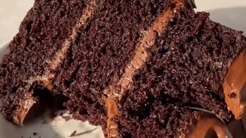 CHOCOLATE CAKE WITH FUDGE FROSTING.