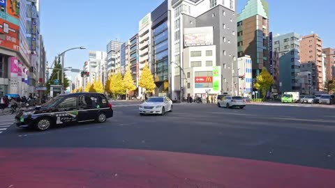 Tokyo's Maid Cafe paradise On fall