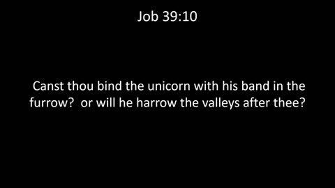 KJV Bible Job Chapter 39