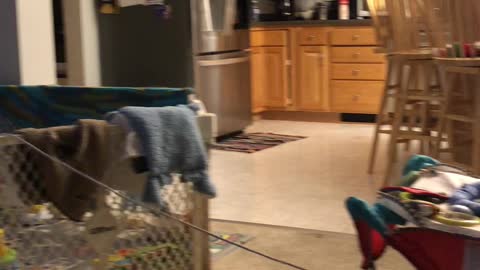 Dad Operates Swing From the Comfort of the Couch