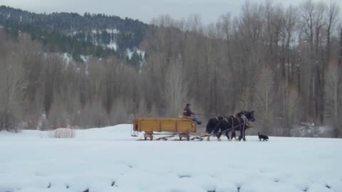 Horse and carriage follow dog through snow and mountains